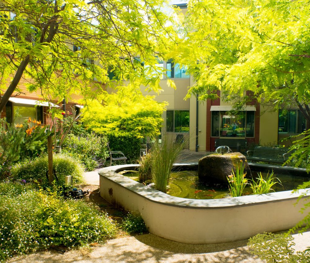 Eldercare Evanston Park's courtyard area with green trees and shrubbery.