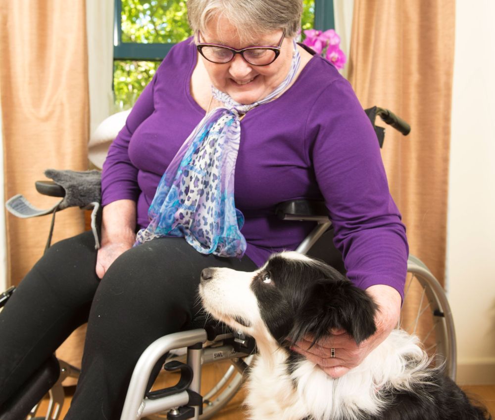Eldercare aged care resident in a wheelchair petting a border collie