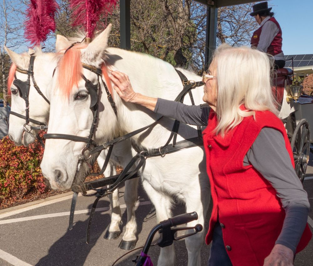 Eldercare aged care resident patting a white horse
