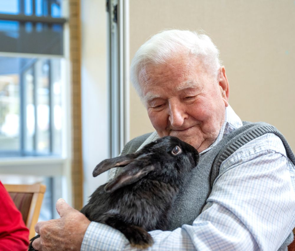 Eldercare aged care resident holding black bunny