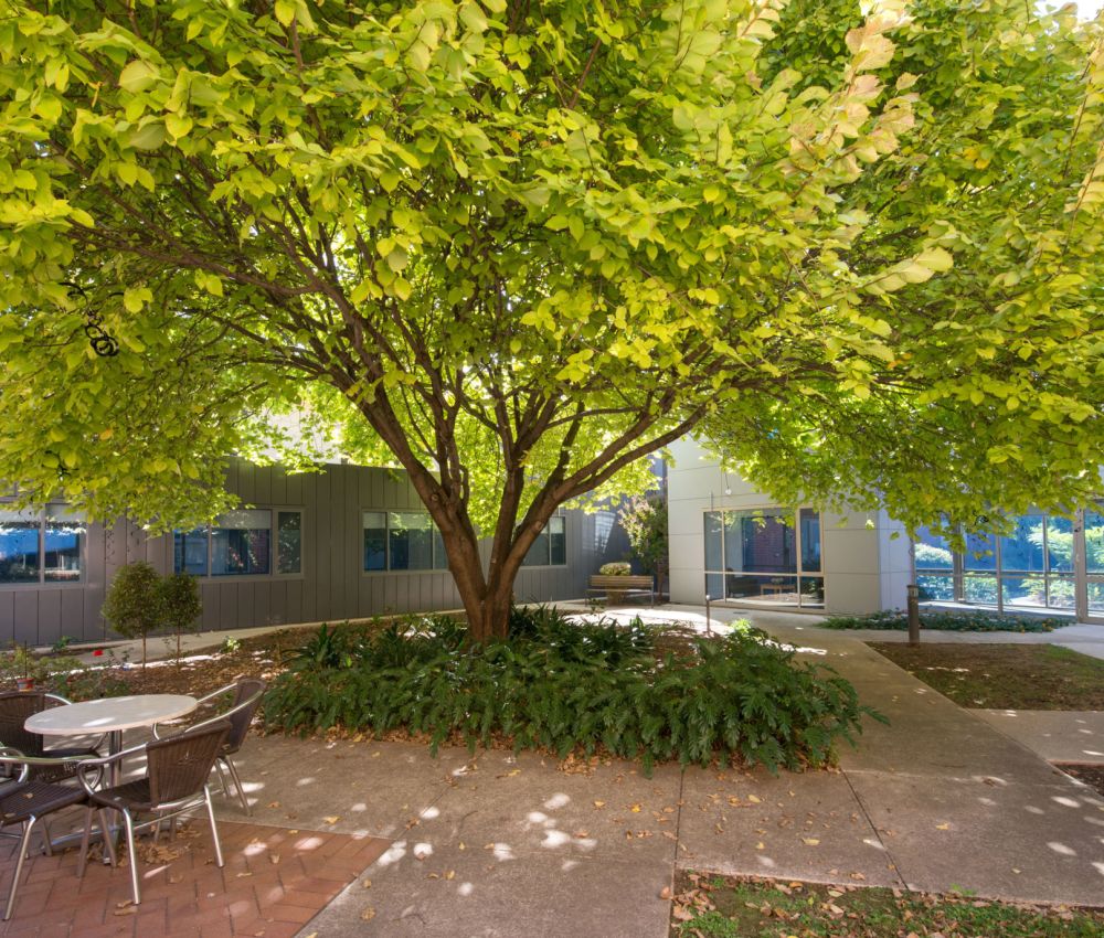 Courtyard at Eldercare Allambi complete with park bench and green trees.