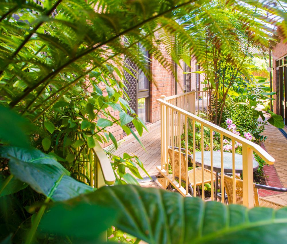 Courtyard at Eldercare Sash Ferguson complete with park bench and green trees.
