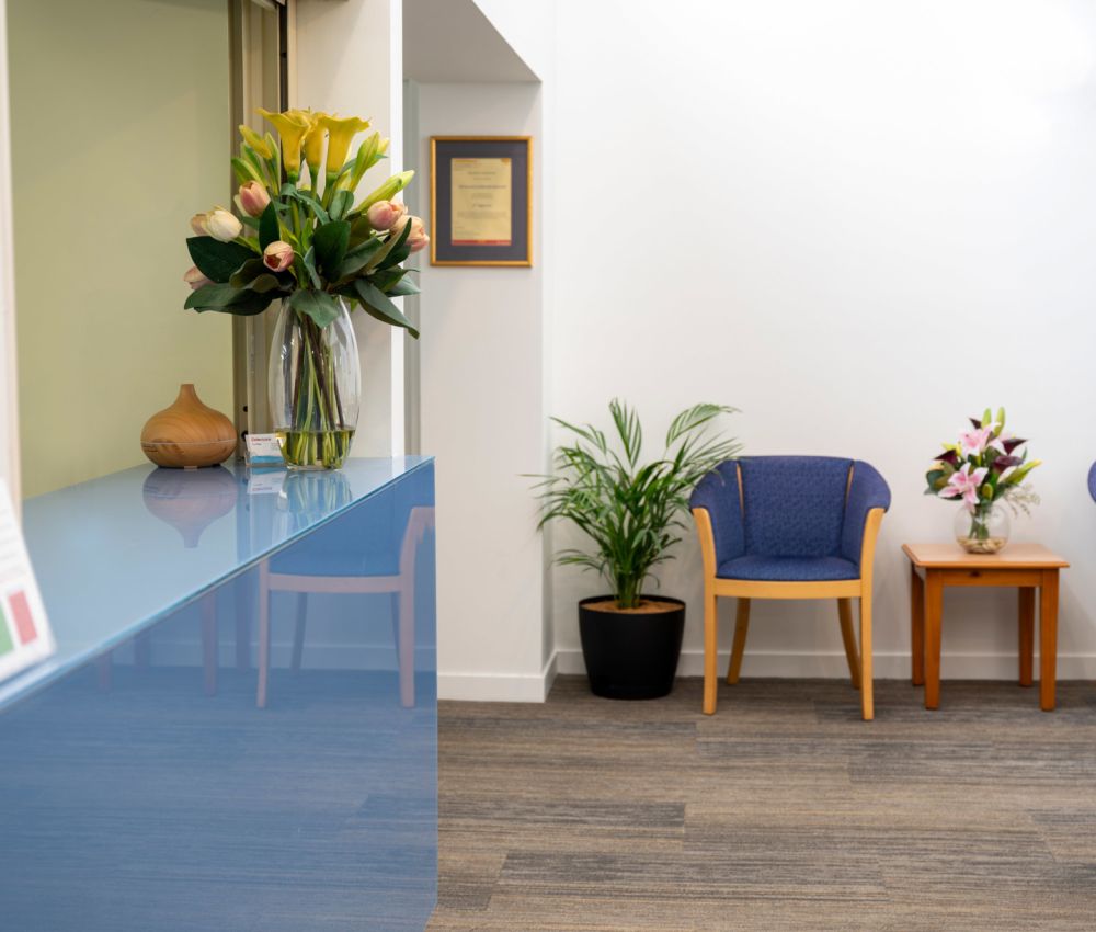 Eldercare The Village reception view